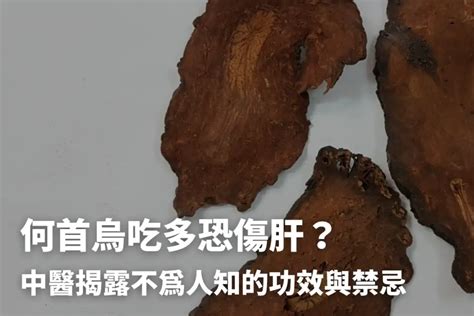 何首烏禁忌